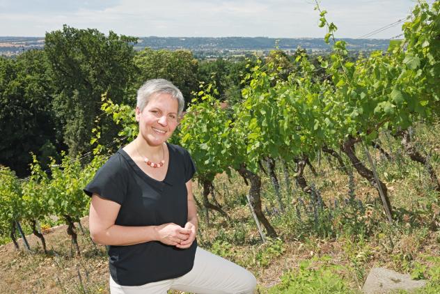 Arbeiten im Weinberg: Kinderarche-Vorständin Barbara Gärtner oberhalb der Geschäftsstelle in Radebeul.