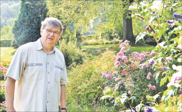 Friedhofsverwalter Frank Rump an zwei der mehr als 120 Strauchrosenbüsche auf dem parkähnlichen Friedhof am Berg. Foto: Kathrin König Bergfriedhof, Cossebaude, Frank Rump