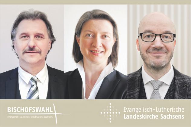Diese Sachsen treten zur Bischofswahl an (v. l.): der Meißener Superintendent Andreas Beuchel, die Plauener Superintendentin Ulrike Weyer sowie Oberlandeskirchenrat Tobias Bilz, Dezernent im Landeskirchenamt Dresden. Gewählt wird am 29. Februar und 1. März auf einer Sondersynode in Dresden. Foto: evlks Bischofskandidaten, Andreas Beuchel, Ulrike Weyer, Tobias Bilz