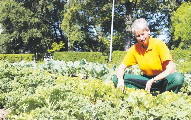 Vogtlandwerkstätten, Gemüse, Behinderte, Behindertenwerkstatt