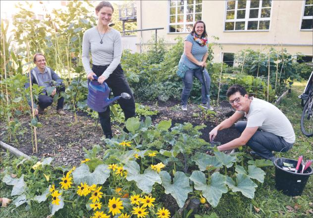 Gemeinsam im Gemeindegarten Natur erhalten: (v. l.) Pfarrer Tobias Funke, Juliane Assmann, Johanna Schindler und Sebastian Erdbeer im kleinen Garten neben dem evangelischen Gemeindehaus in Dresden-Johannstadt. Foto: Dietrich Flechtner Anders Wachsen, Gemeindegarten, Dresden, Garten