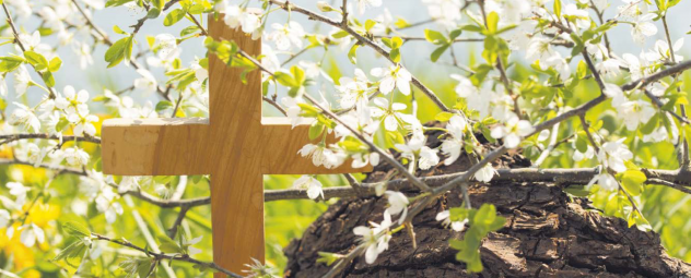 Auferstehung, Corona-Krise, Ostern, Hoffnung,