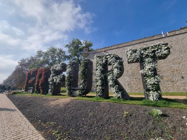 Bundesgartenschau, BuGa, Erfurt, Medienpartner, Kirche, evangelisch, ökumenisch, Erfurt erblüht