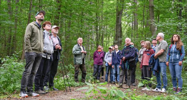 Staunen und Entsetzen: Bei einer Waldführung am Pöhlberg bei Annaberg-Buchholz zeigen Förster Frank Schlupeck (4. v. l.) und Johannes Riedel (nicht im Bild) den Gästen sowohl gesunden Wald als auch geschädigten. Im Rahmen des Tages der Schöpfung gab es Führungen an verschiedenen Orten. © Steffen Giersch