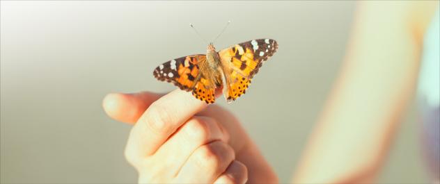 Schmetterling auf Fingern. – »Jetzt ist die Zeit« – so heißt die Losung des Evangelischen Kirchentages