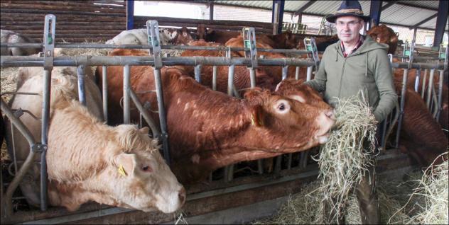 In Sorge über den fortschreitenden Klimawandel: Landwirt Ulf Allhoff-Cramer aus Mosebeck bei Detmold mit einem Teil seiner Milchkuhherde. © A. Duderstedt