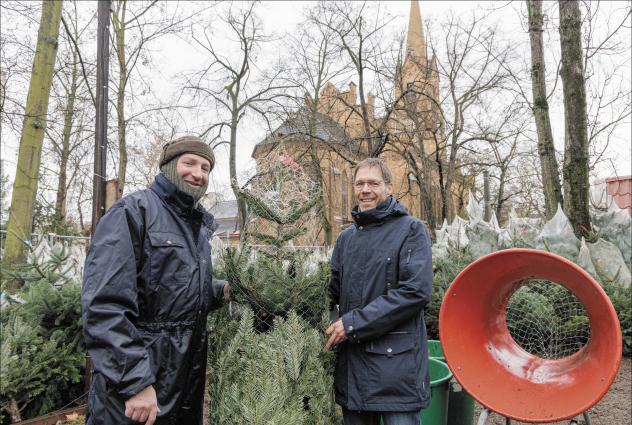 An der Friedenskirche in Leipzig-Gohlis hat David Meißner (l.) schon seit 15 Jahren den Weihnachtsbaumverkauf. Bis zum 24. Dezember bietet er Christbäume auf dem Gelände an, wo früher Pfarrhaus, Schule und Polizei standen. © Uwe Winkler