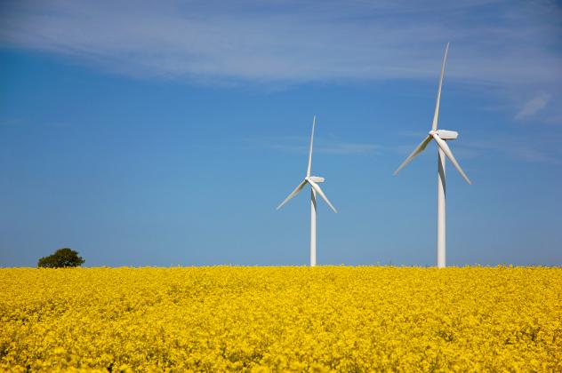 Windkraft, Sachsen, Abstandsregelung, erneuerbare Energien