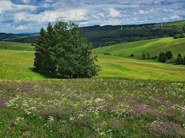 Erzgebirge Landschaft Unesco Weltkulturerbe