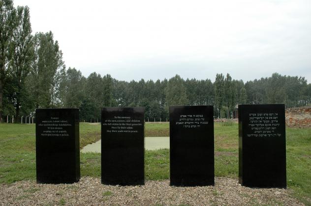 Steinmeier: Die Geschichte von Auschwitz verpflichtet