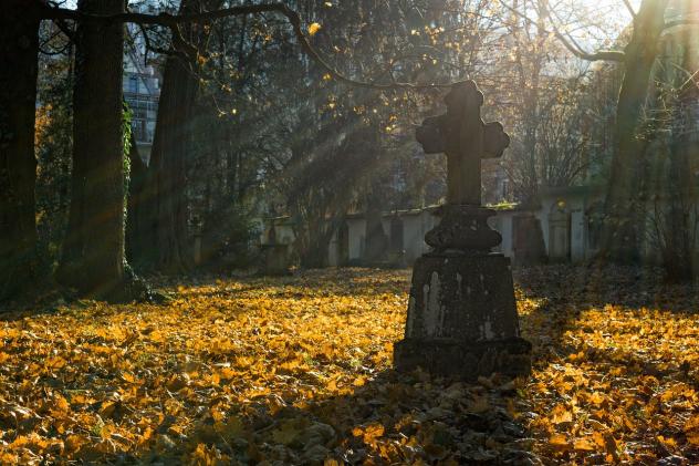 Friedhof Ewigkeitssonntag, Herbst, Laub, Sonne