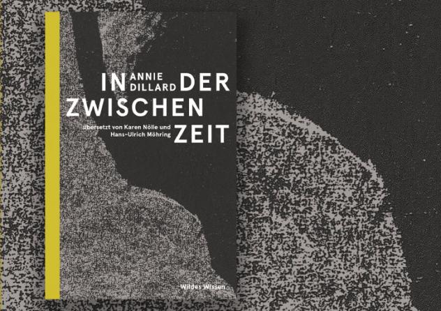 Annie Dillard: In der Zwischenzeit. Übersetzt von Karin Nölle und Hans-Ulrich Möhring. Hrsg. von Judith Schalansky. Verlag Matthes & Seitz 2023, 254 S., 25 Euro.