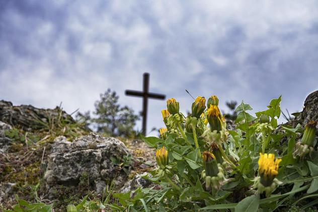 Johannistag Sachsen Kirchen Gemeinden Friedhof Andachten