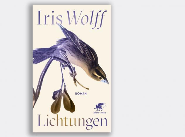 Iris Wolff: Lichtungen. Roman. Verlag Klett-Cotta 2024. 255 S., 24 €