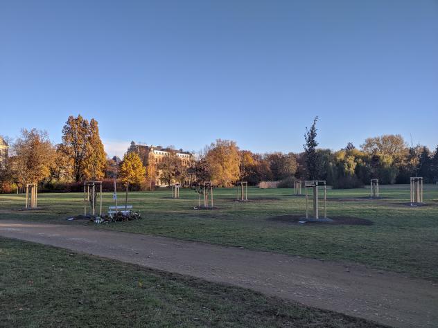 NSU-Gedenkstätte in Zwickau, Schwanenteichpark. Zehn Bäume sollen an die zehn Ermordeten erinnern. Unter jedem Baum gibt es eine Gedenktafel aus Stein.