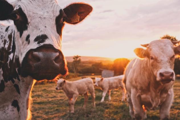 Bischof Bilz informiert sich über nachhaltige Landwirtschaft