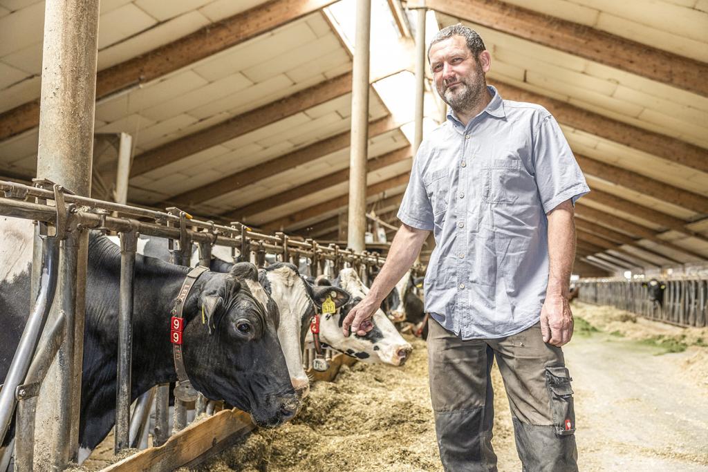 Im Stall von Rüdiger Kempe in Dittersdorf stehen etwa 150 Milchkühe. Am Sonntag beherbergt der Landwirt den Bauernbibeltag des sächsischen Gemeinschaftsverbandes. Dafür rechnet er mit etwa 200 Gästen. © Uwe Winkler