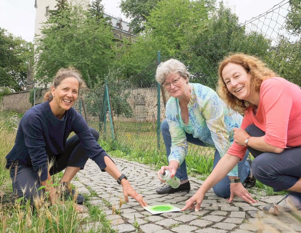 Pfarrerin Annegret Fischer, Carola Schul und Christina Nehrkorn-Stege (v. l.) sprühen das Logo auf die Pflastersteine. © Birgit Andert