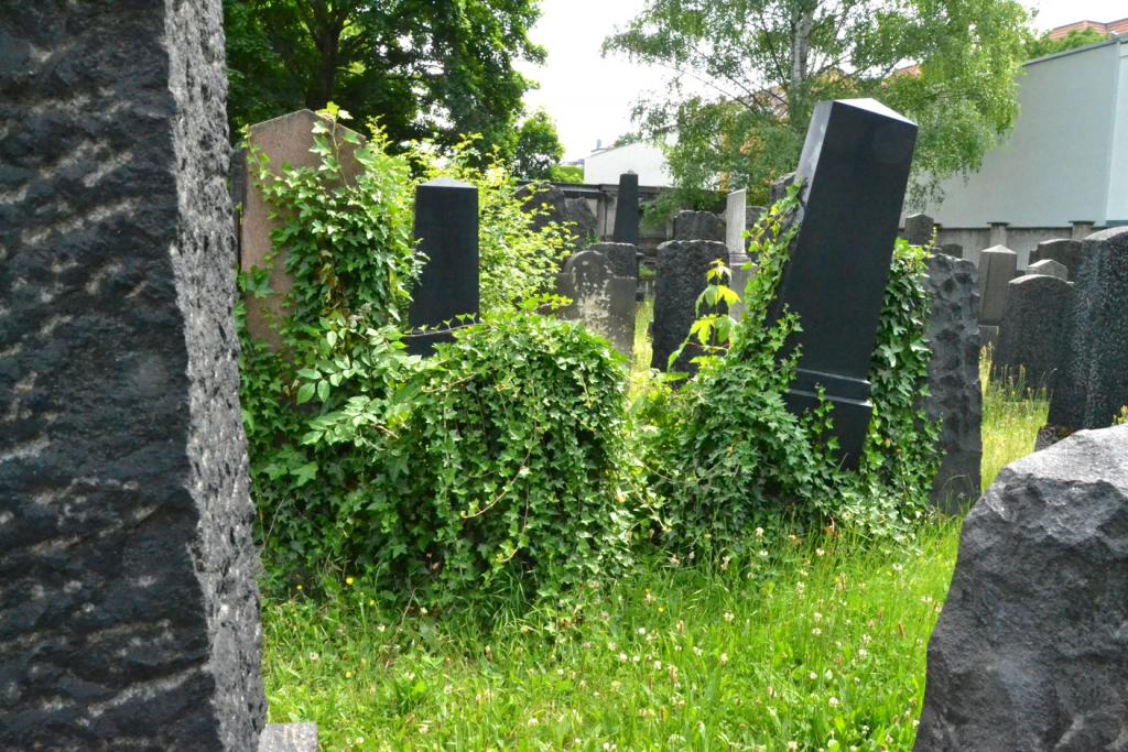 Alter Jüdischer Friedhof Leipzig © K. Richter