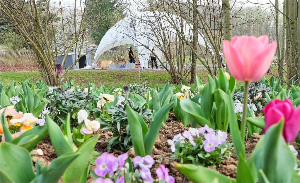 Landesgartenschau Frankenberg Blumen Kirchenpavillon Paradiesgarten