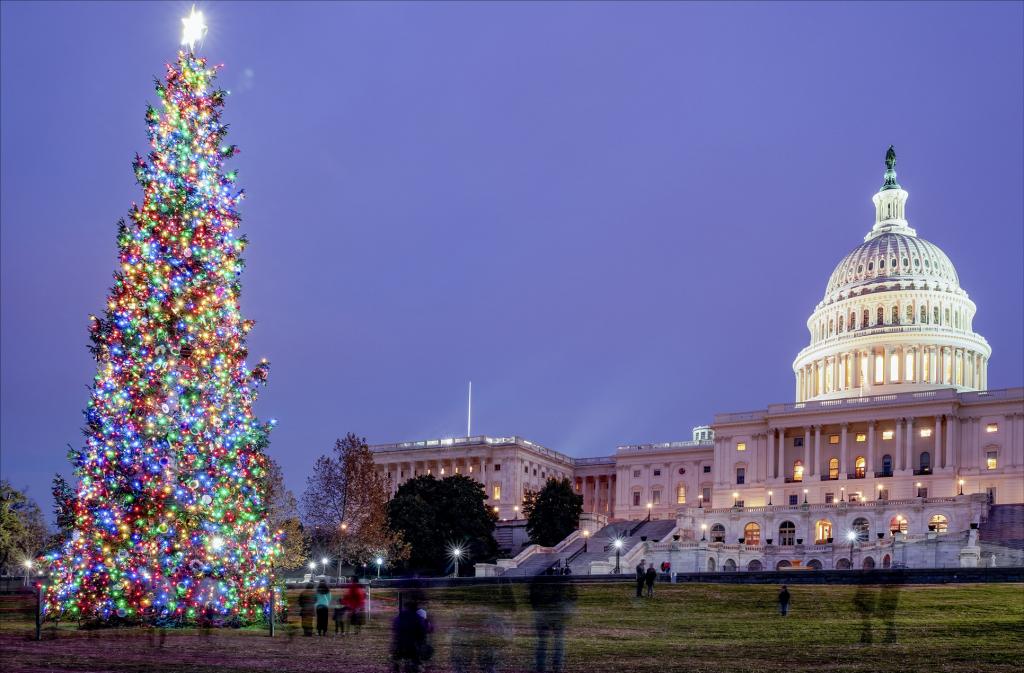 Großes Spektakel: Alljährlich zu Heiligabend drückt der US-Präsident auf den Knopf, und die bunten Lichter am Weihnachtsbaum im »Ellipse«-Park in Washington D. C. blitzen auf. © stock.adobe.com/Belikova Oksana