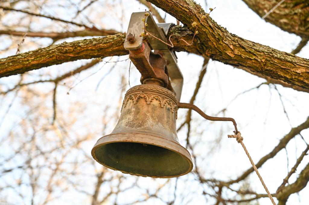 Glocke Moritzburg Baum