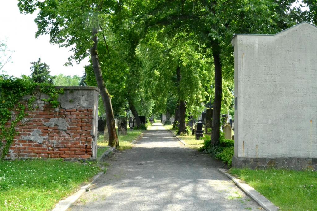 Alter Jüdischer Friedhof Leipzig © K. Richter