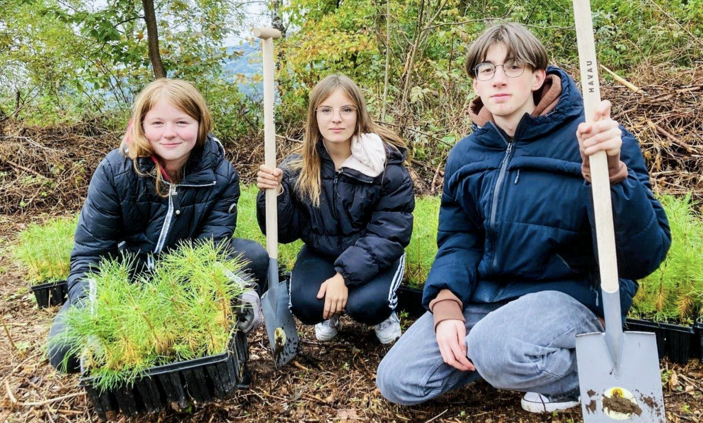 Zeichen setzen: Hans Mothes, Helene Kircheis (Mitte) und Annalena Jauert aus der Evangeli- schen Oberschule Schneeberg pflanzen Kiefern im Rahmen der Pflanzaktion mit dem Bischof im Kirchenwald bei Schwarzenberg. © Anna Neef