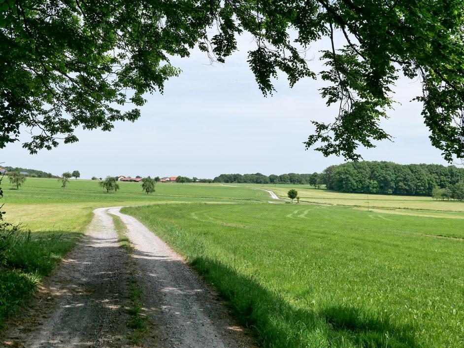 Unterwegs nach Breitenbuch, das im fränkischen Teil des Odenwalds liegt. Bei der Wanderung entlang der alten römischen Grenze wird manches zum Sinnbild für das Leben im Glauben. © Georg Magirius