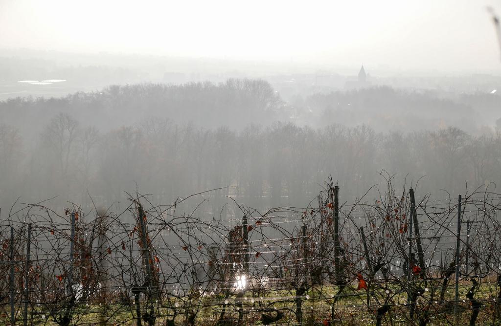 Blick vom Beerhüterturm nahe Schweinfurt im Morgennebel. © Georg Magirius