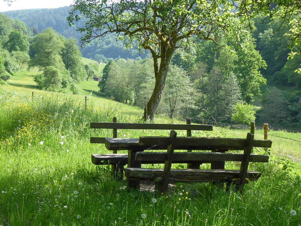 Rastplatz mit Blick auf das fränkische Dreiländereck. © Georg Magirius