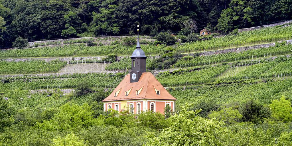 Die Weinbergkirche am Dresdner Elbhang. Foto: joeseo48 – stock.adobe.com; bearb.: so