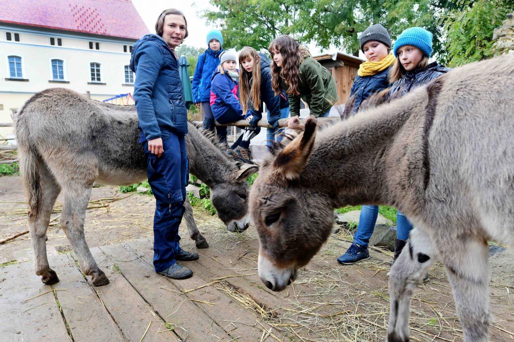 Bauernhof, Esel, Anke Eichhorn, Kinder, Gemeindepädagogin