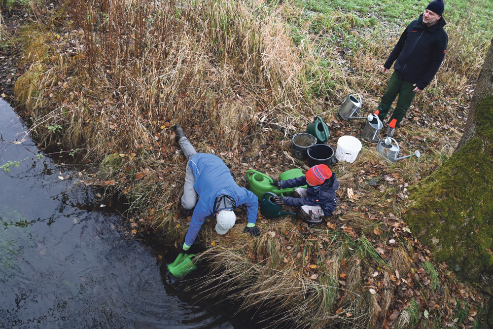 Väter und Kinder aus Wachau