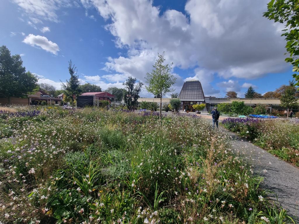 Die Landesgartenschau Sachsen-Anhalt begrüßt bis zum 13. Oktober 2024 ihre Gäste in Bad Dürrenberg © Karola Richter Die Landesgartenschau Sachsen-Anhalt begrüßt bis zum 13. Oktober 2024 ihre Gäste in Bad Dürrenberg © Karola Richter