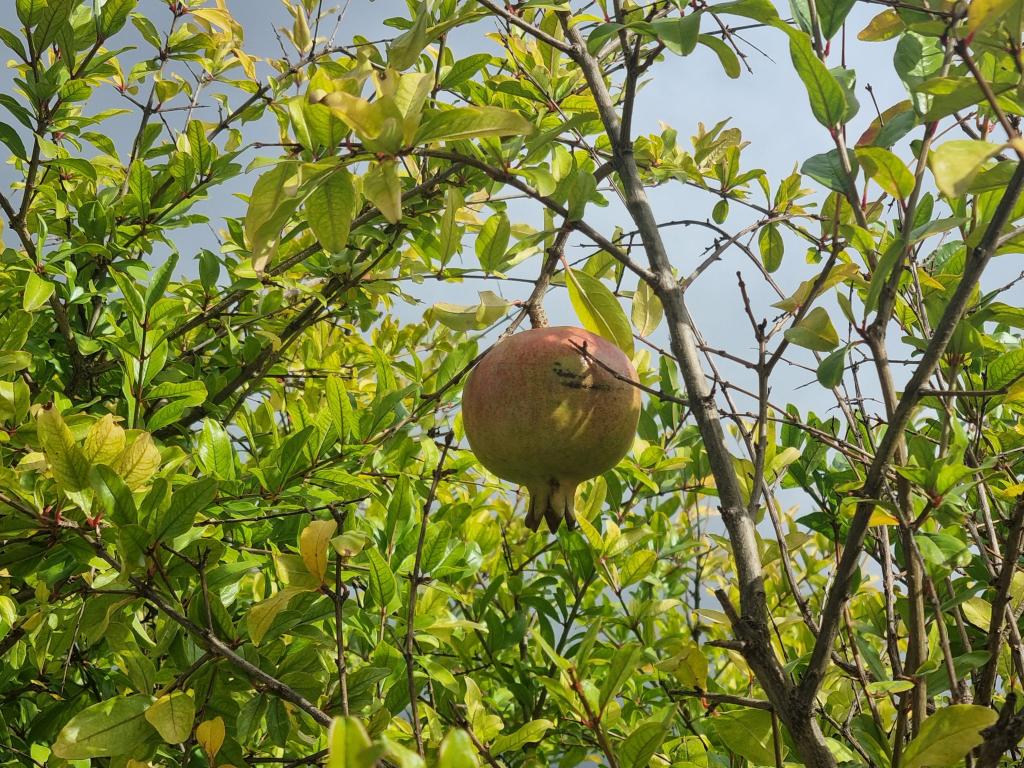 Impression Kurpark © Karola Richter Impression Kurpark © Karola Richter