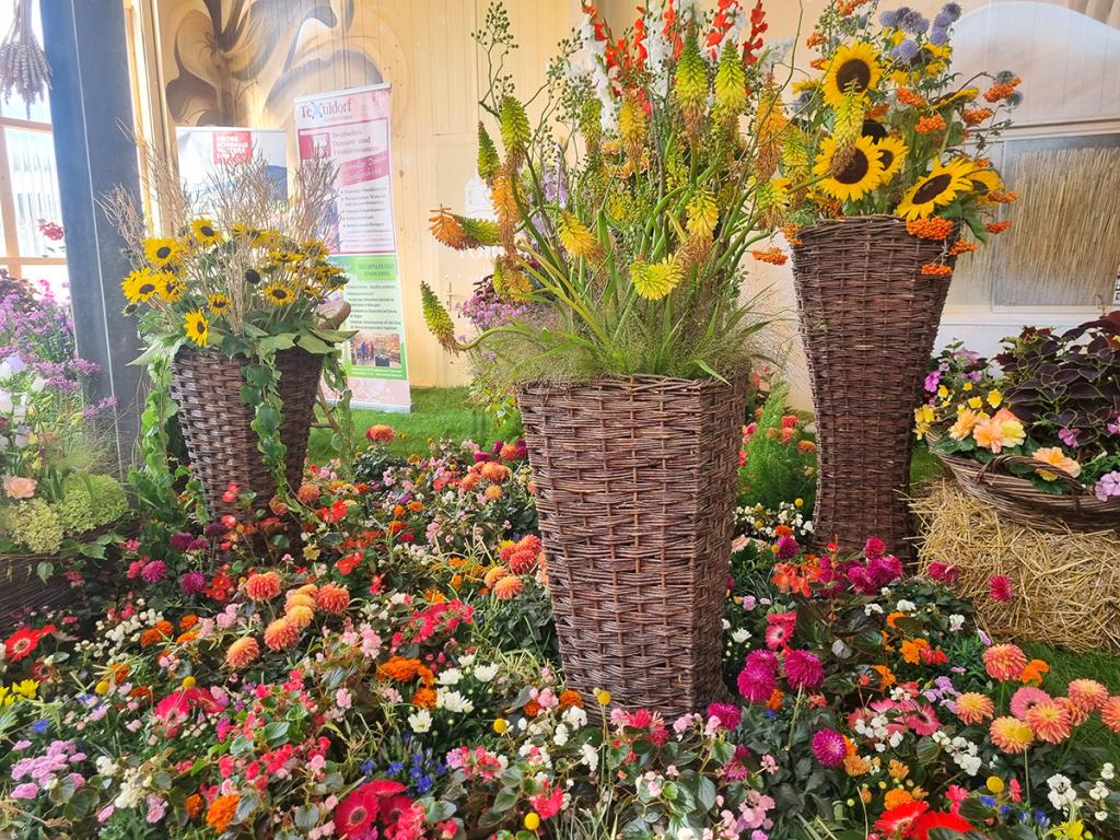 Blumenhalle der Sächsischen Landesgartenschau 2022 in Torgau. © K. Richter