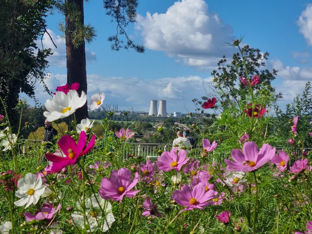 Blick auf die Saale-Aue nach Leuna © Karola Richter Blick auf die Saale-Aue nach Leuna © Karola Richter