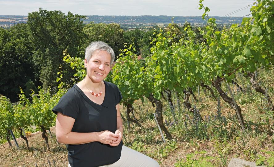 Arbeiten im Weinberg: Kinderarche-Vorständin Barbara Gärtner oberhalb der Geschäftsstelle in Radebeul.