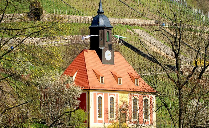 Weinbergkirche Pillnitz