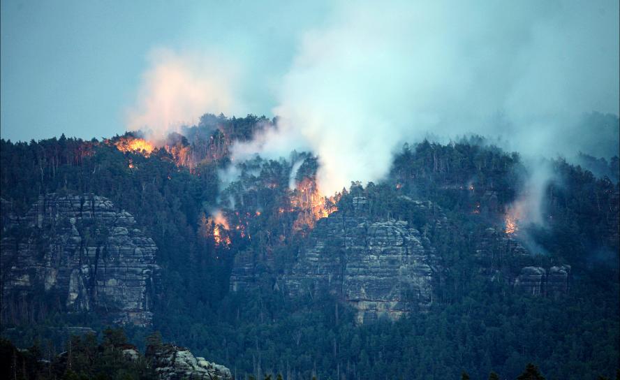 Waldbrand am Felsen Pechofen / Bärenfangwände (Sächsische Schweiz) in der Nacht zum 27. Juli. In dieser Nacht brannten große Teile der Hinteren Sächsischen Schweiz, nachdem das Feuer aus dem Nachbarland übersprang. Foto: Daniel Förster