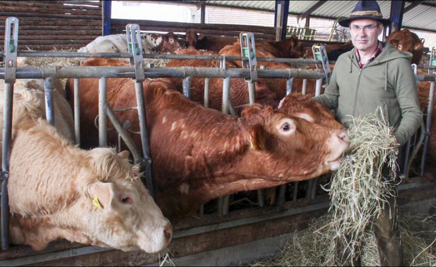 In Sorge über den fortschreitenden Klimawandel: Landwirt Ulf Allhoff-Cramer aus Mosebeck bei Detmold mit einem Teil seiner Milchkuhherde. © A. Duderstedt