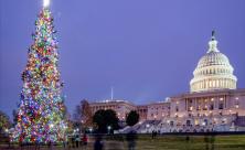 Großes Spektakel: Alljährlich zu Heiligabend drückt der US-Präsident auf den Knopf, und die bunten Lichter am Weihnachtsbaum im »Ellipse«-Park in Washington D. C. blitzen auf. © stock.adobe.com/Belikova Oksana