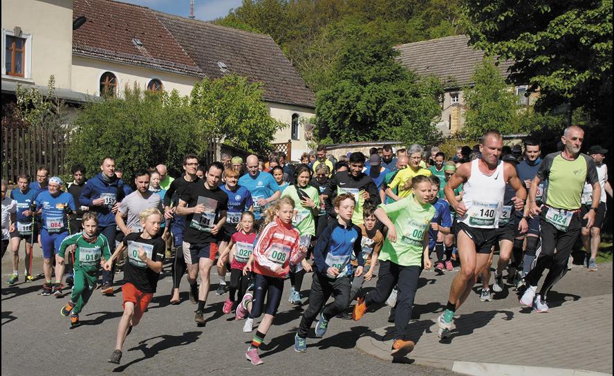 144 Läufer waren beim Lauf um den Collm dabei – das Foto zeigt den Start. © Eric Zabell