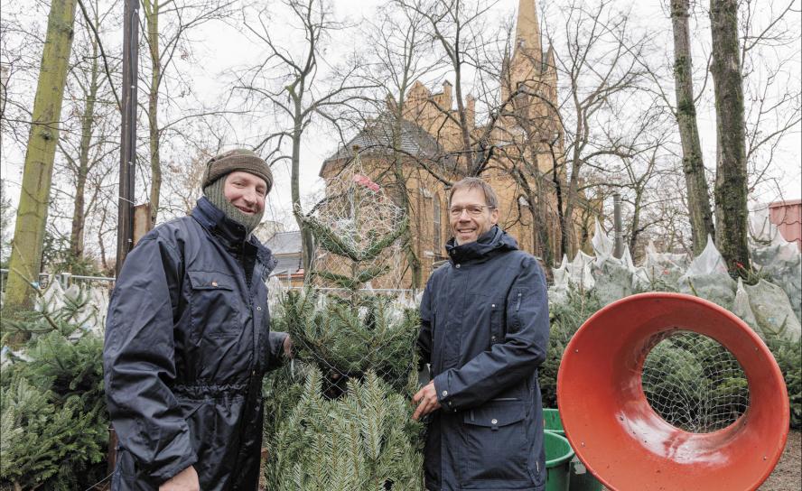 An der Friedenskirche in Leipzig-Gohlis hat David Meißner (l.) schon seit 15 Jahren den Weihnachtsbaumverkauf. Bis zum 24. Dezember bietet er Christbäume auf dem Gelände an, wo früher Pfarrhaus, Schule und Polizei standen. © Uwe Winkler