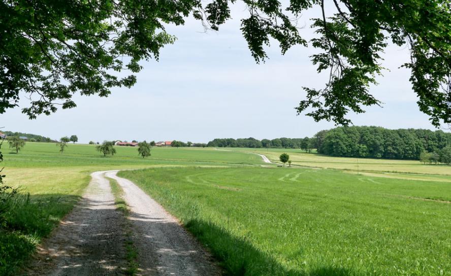 Unterwegs nach Breitenbuch, das im fränkischen Teil des Odenwalds liegt. Bei der Wanderung entlang der alten römischen Grenze wird manches zum Sinnbild für das Leben im Glauben. © Georg Magirius