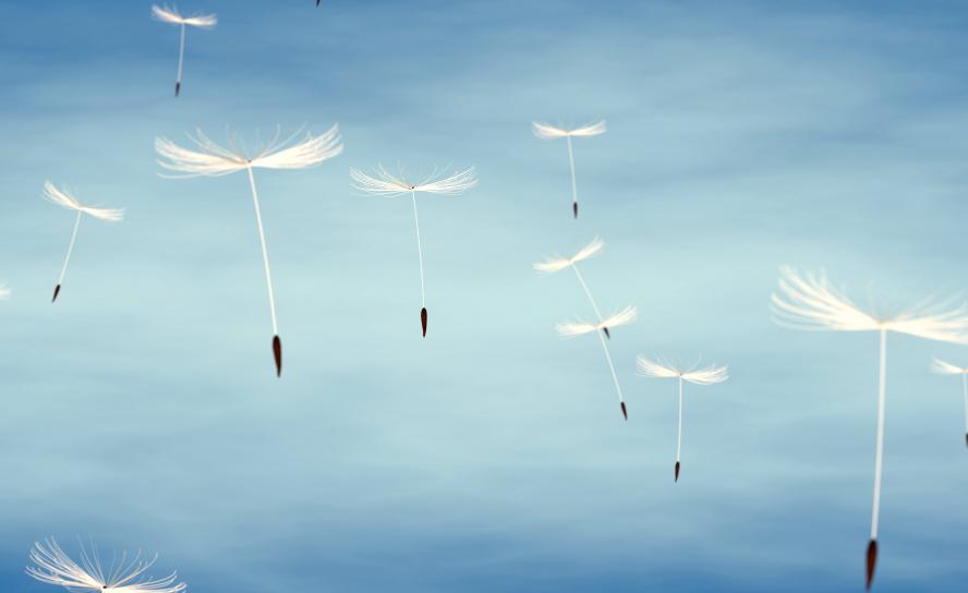 Foto: brainwashed 4 you – stock.adobe.de