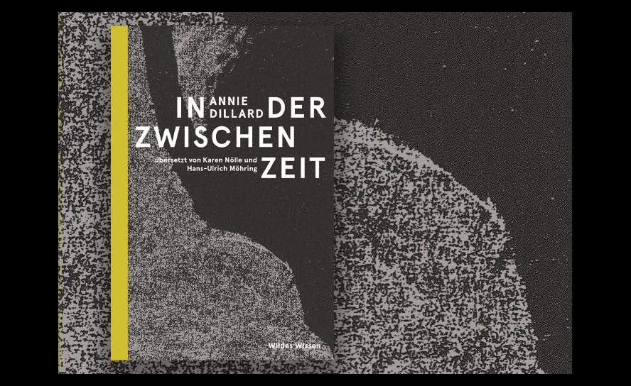 Annie Dillard: In der Zwischenzeit. Übersetzt von Karin Nölle und Hans-Ulrich Möhring. Hrsg. von Judith Schalansky. Verlag Matthes & Seitz 2023, 254 S., 25 Euro.