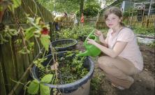 Eigeninitiative und Verantwortungsbewusstsein: Schülerinnen und Schüler im Garten der evangelischen Waldschule Eichelkamp in Wolfsburg © epd-Bild/ Jens Schulze Eigeninitiative und Verantwortungsbewusstsein: Schülerinnen und Schüler im Garten der evangelischen Waldschule Eichelkamp in Wolfsburg © epd-Bild/ Jens Schulze
