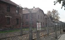 Auschwitz          
          <div class=